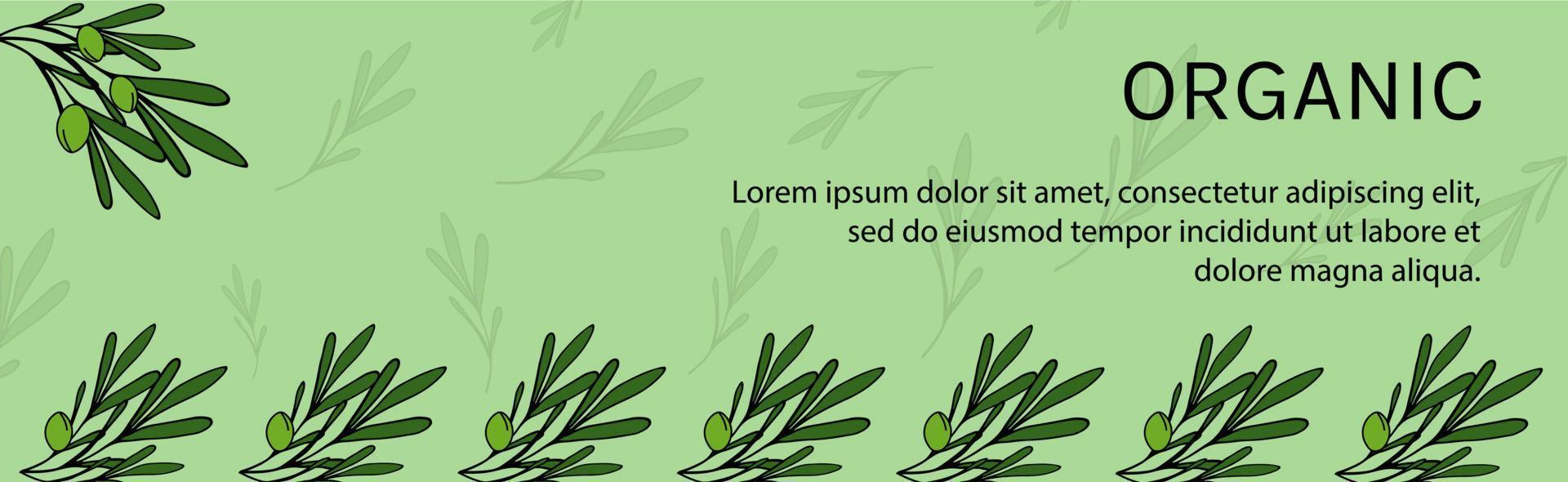 verde orgánico bandera con Olivos. plantillas dibujo natural modelo. hojas, aceituna rama, verde. vector