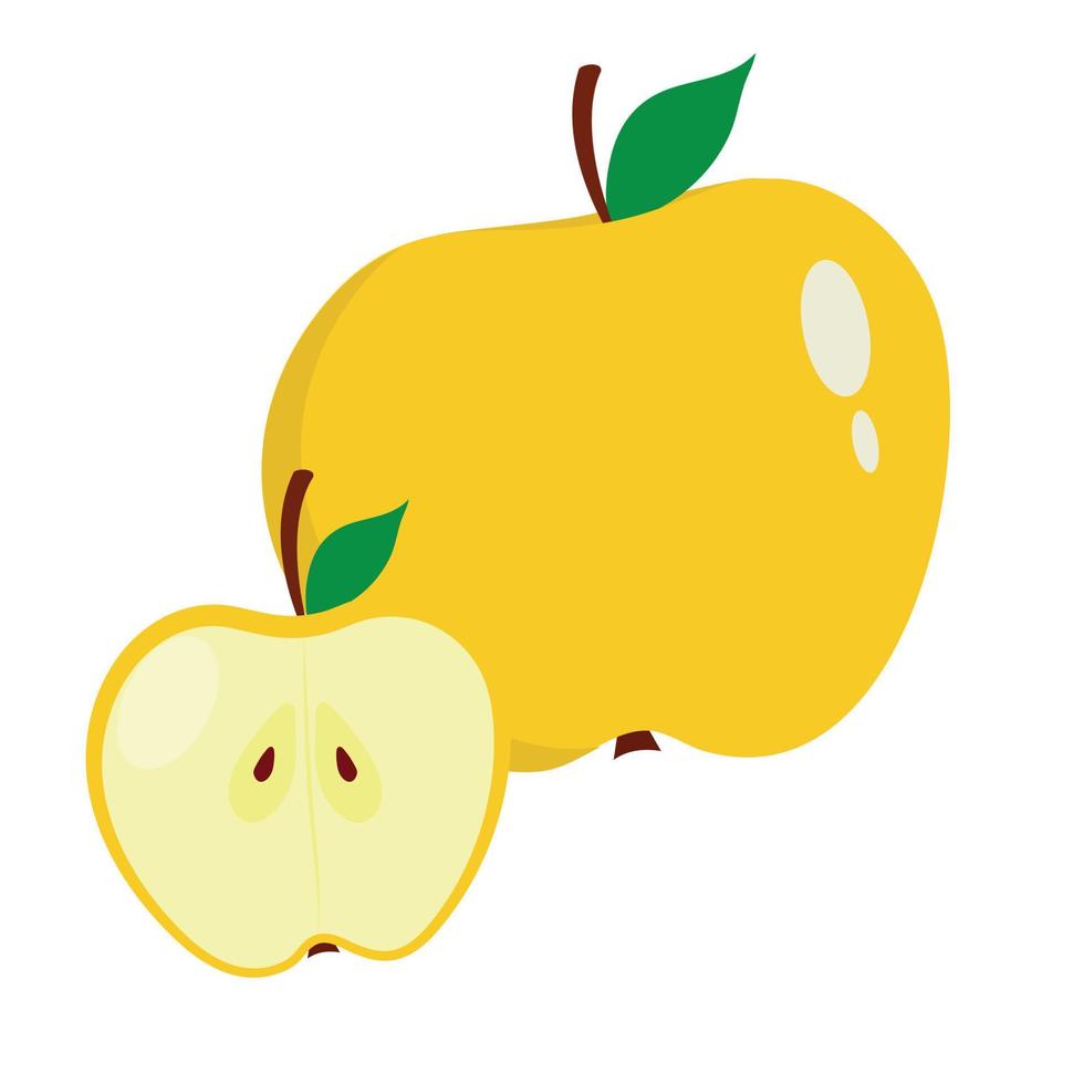 Apple yellow ripe whole and cut, drawn by hand. Vector design of an apple.