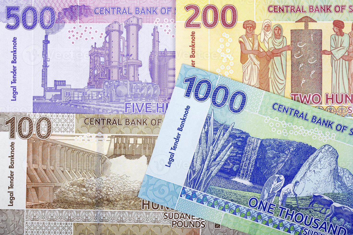 Sudanese money - pounds - a business background photo