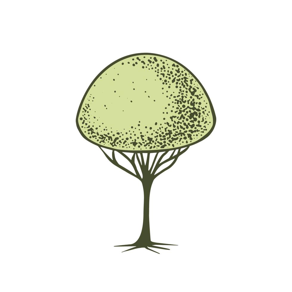 Sketch of topiary coniferous trees. Trimmed thuja hemisphere on a trunk. Geometric trees for advertising and landscape design. Isolated on white background. Vector
