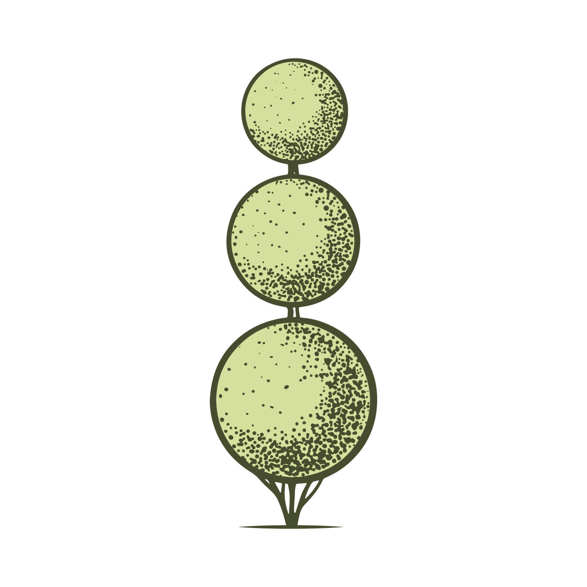 Sketch of topiary conifers. Sheared thuja sphere. Geometric trees for ...