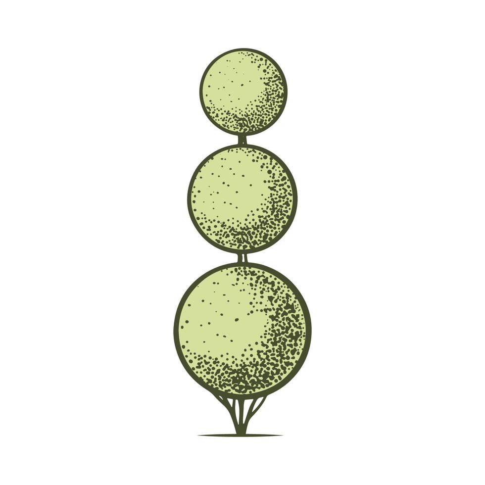 bosquejo de poda artística coníferas esquilada thuja esfera. geométrico arboles para publicidad y paisaje diseño. aislado en blanco antecedentes. vector