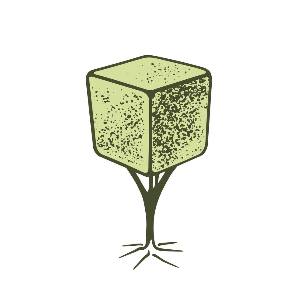 Sketch of topiary coniferous trees. Sheared thuja cube on a stem. Geometric trees for advertising and landscape design. Isolated on white background. Vector