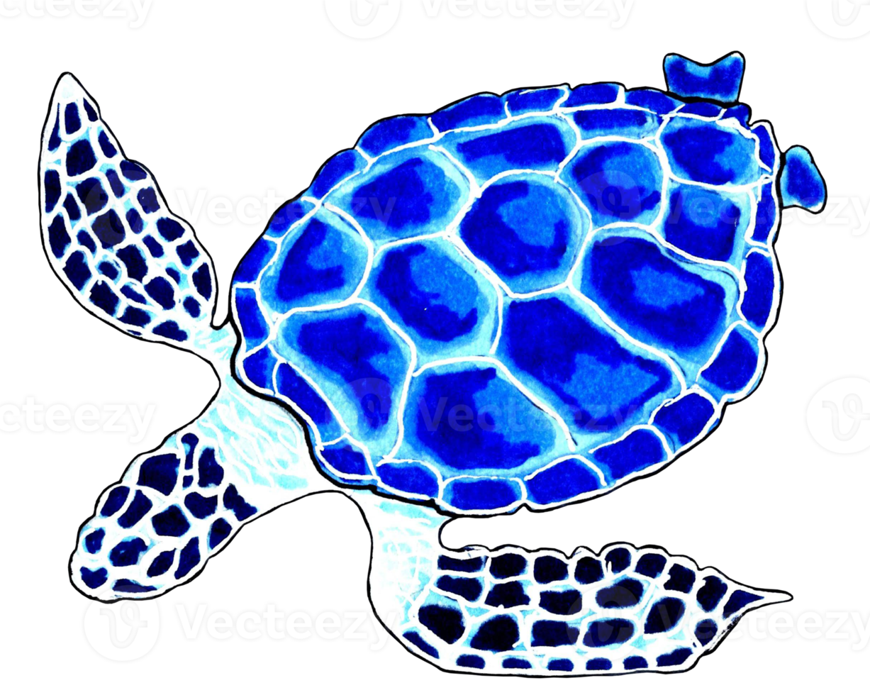 Meer Schildkröte Blau Farbe. png Illustration Marine Tiere.