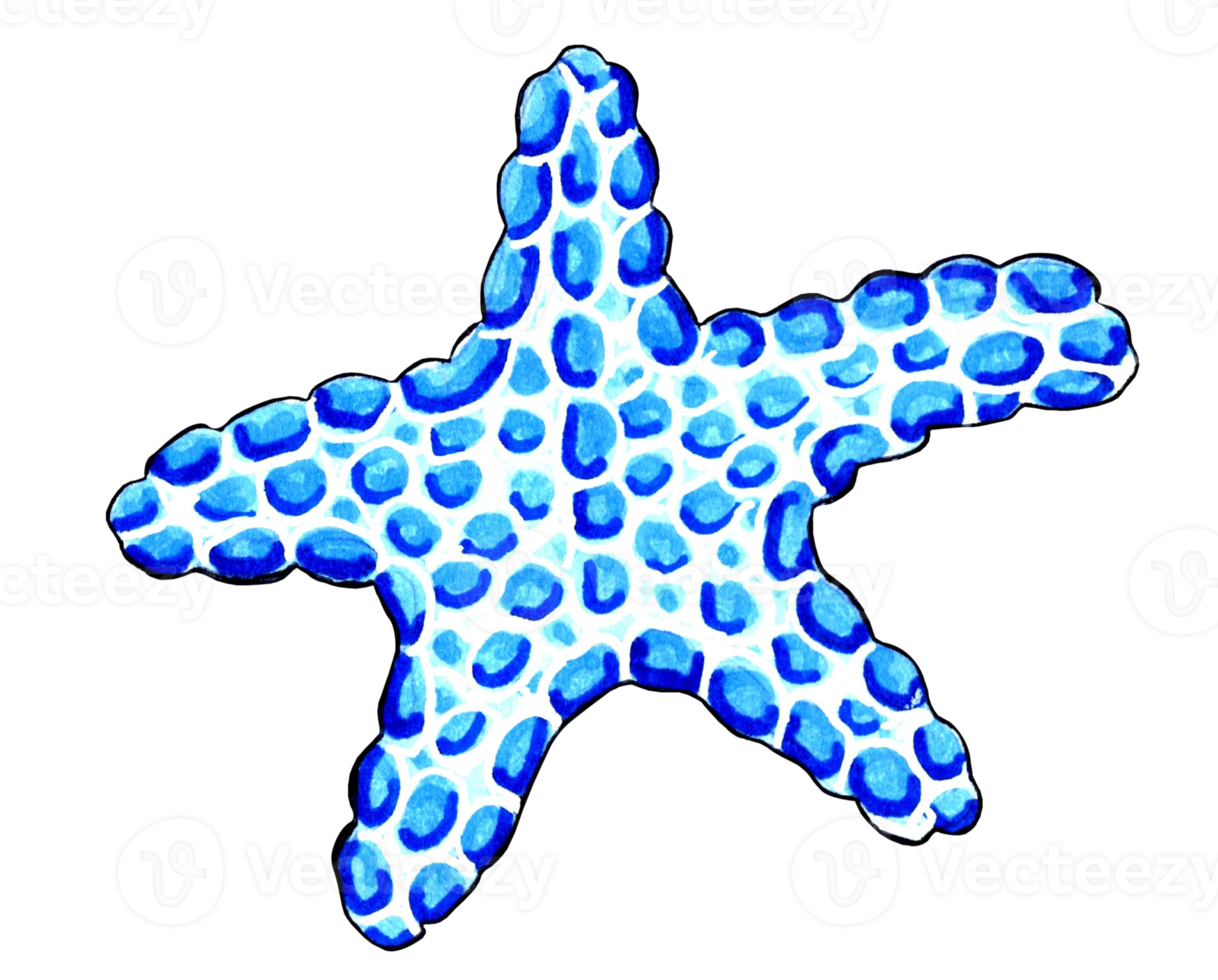 estrelas do mar azul cor. png ilustração marinho vida.
