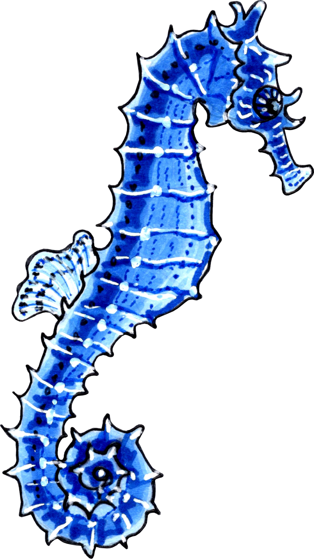 seahorse-blue-color-png-illustration-marine-animals-22540961-png
