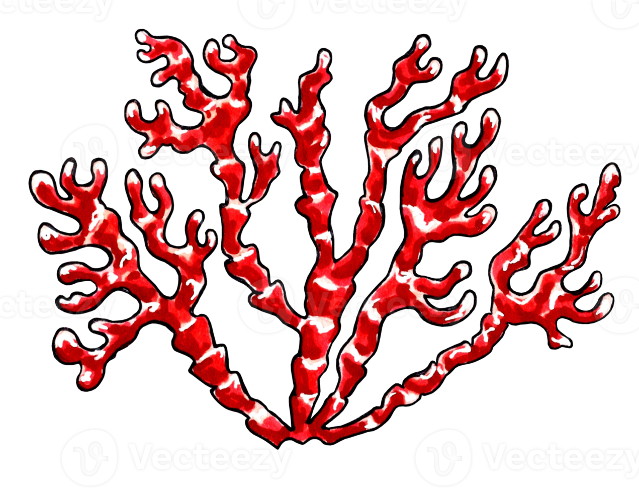 oceano coral vermelho cor. png ilustração marinho vida.