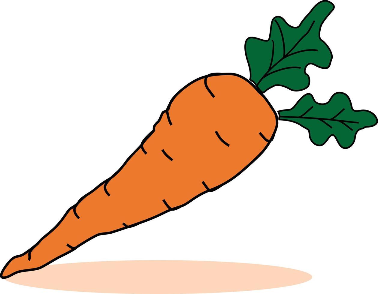 Easter Carrot Fresh vegetable Vector Illustration