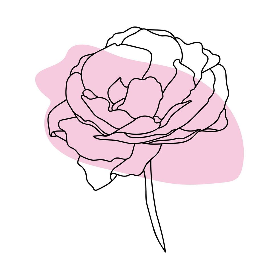 Rosa mano dibujado ilustración en vector bocetos, línea Arte.