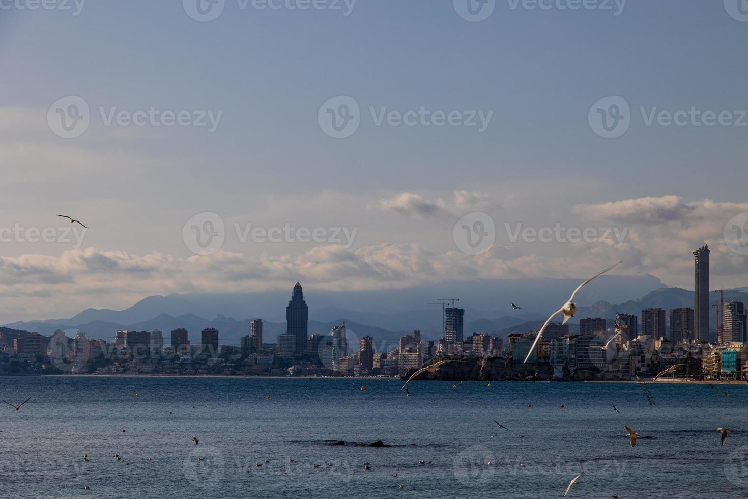 paisaje de benidorm España en un soleado día en el costa con gaviotas foto