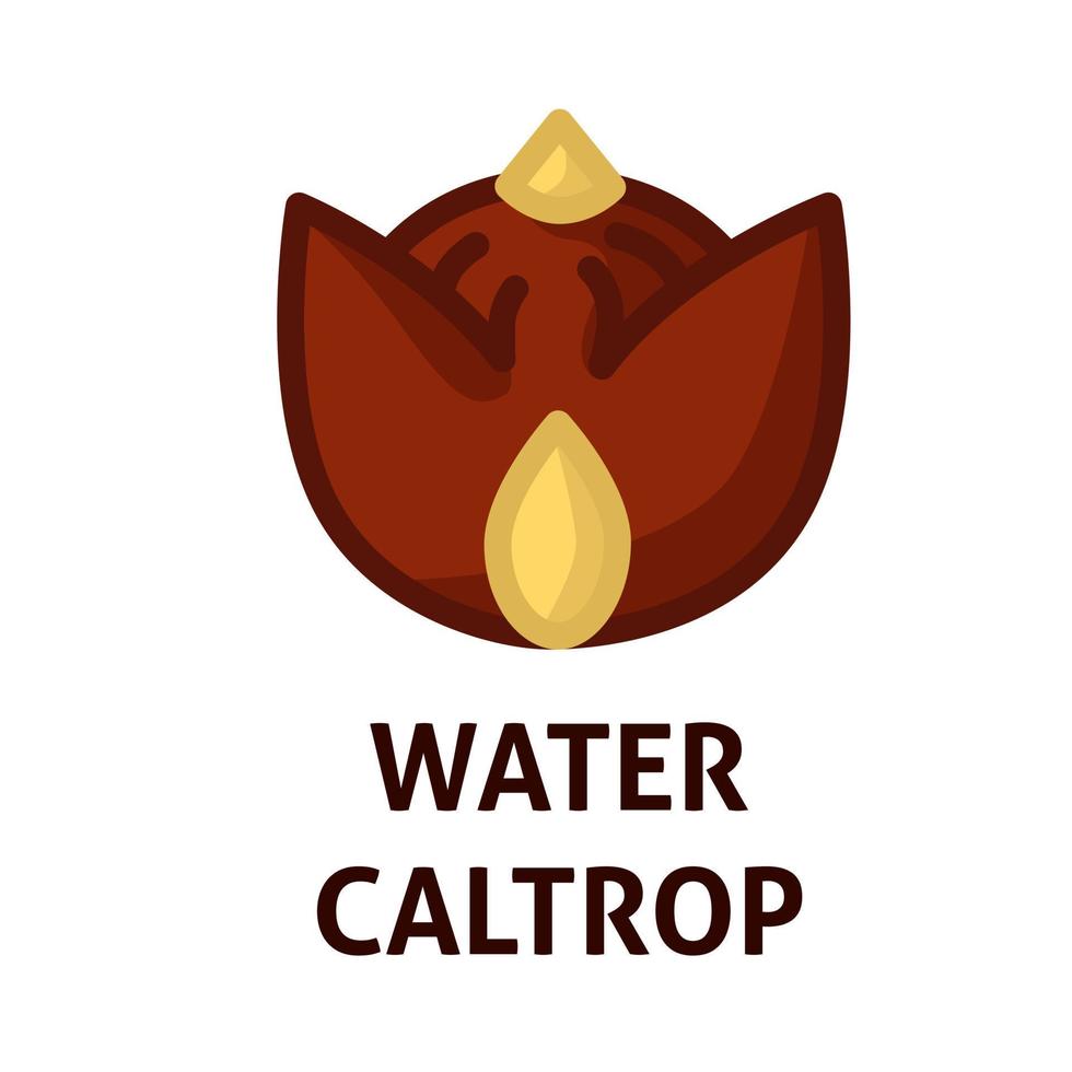 Cartoon Mid Autumn Festival Food. Water Caltrop color icon. Edible nut snack. vector