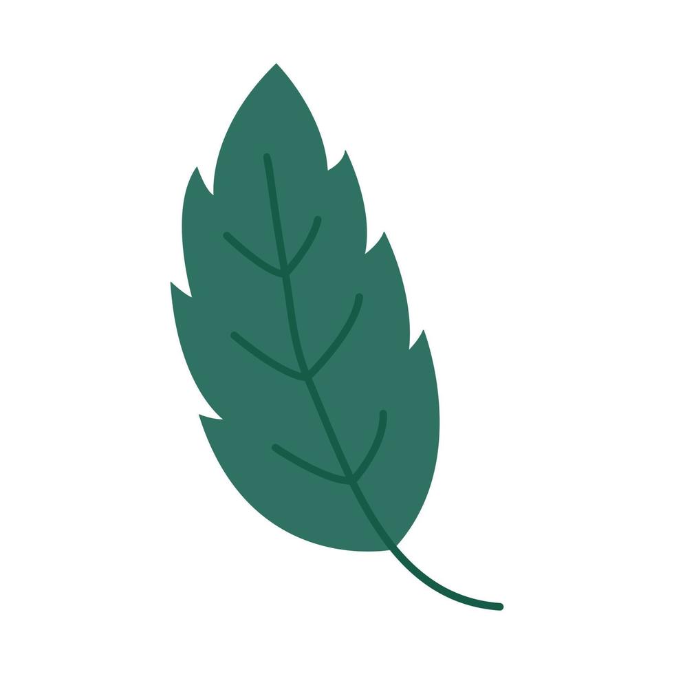 Vector autumn leaf fall plant icon