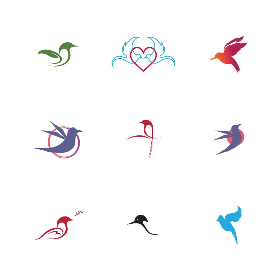 pájaro logo y símbolo vector