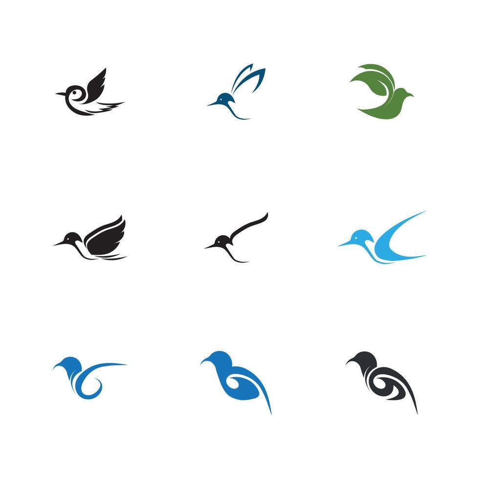 pájaro logo y símbolo vector