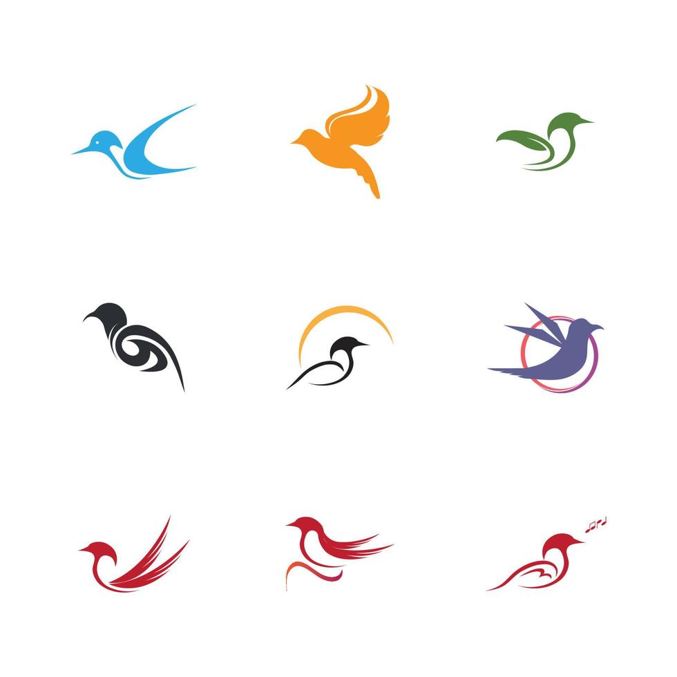 pájaro logo y símbolo vector