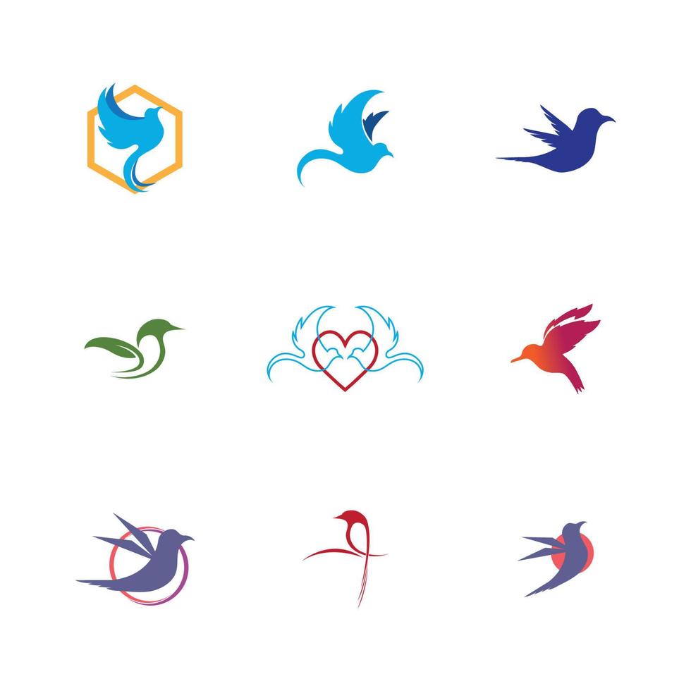 bird logo and symbol vector