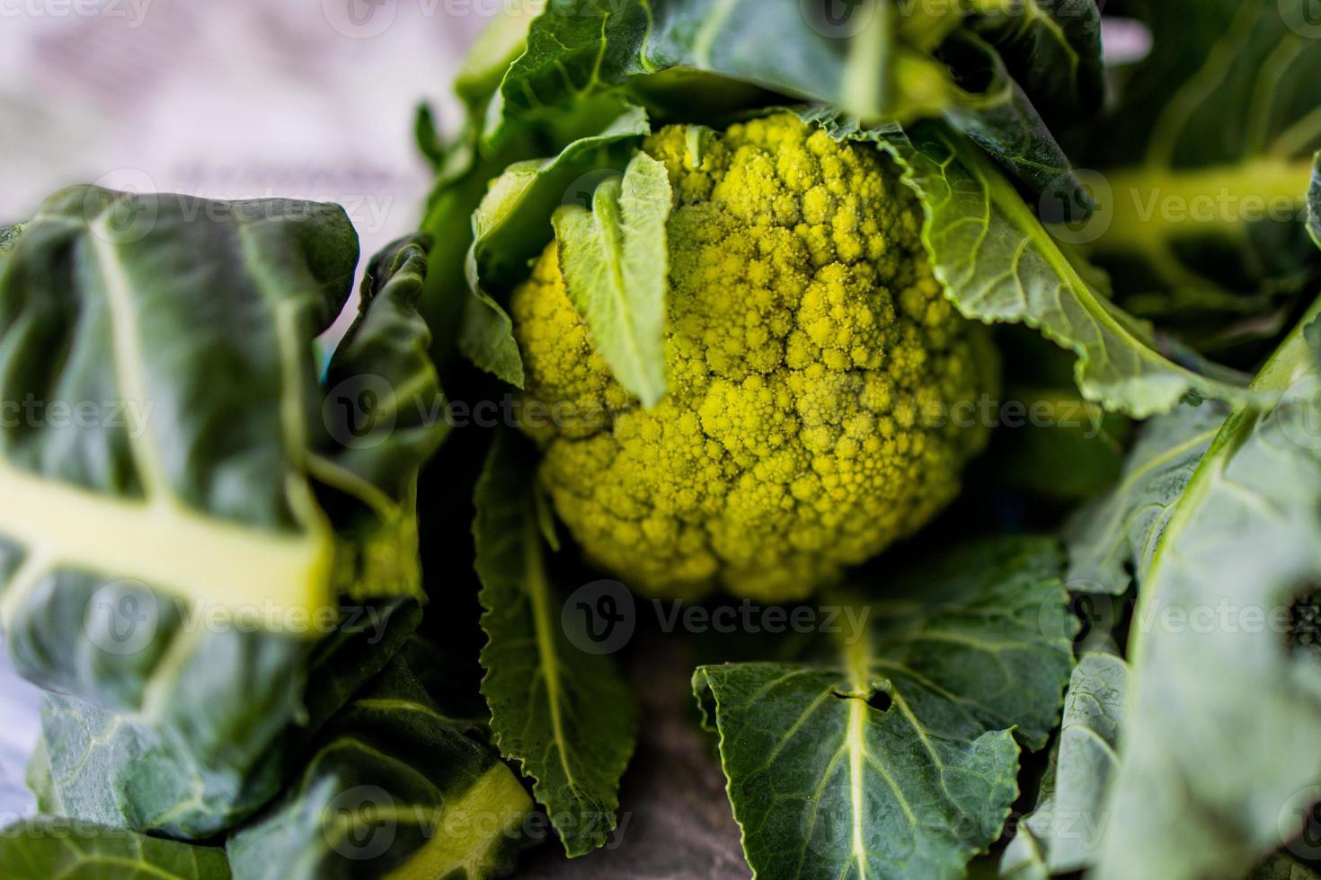 green organic green cauliflower on a kitchen countertop in closeup photo