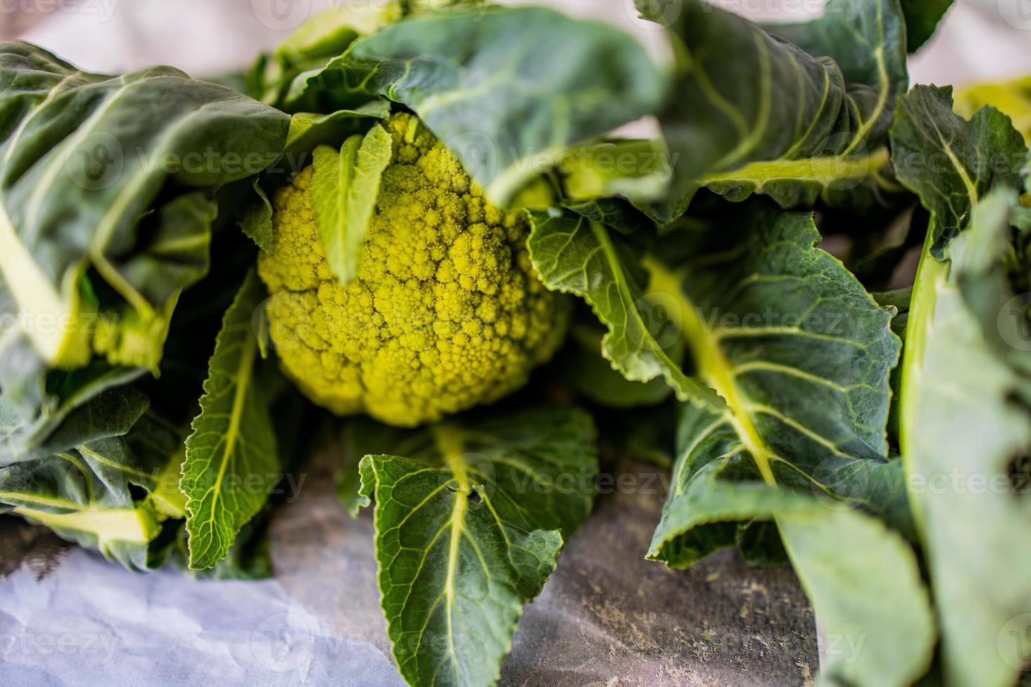 green organic green cauliflower on a kitchen countertop in closeup photo