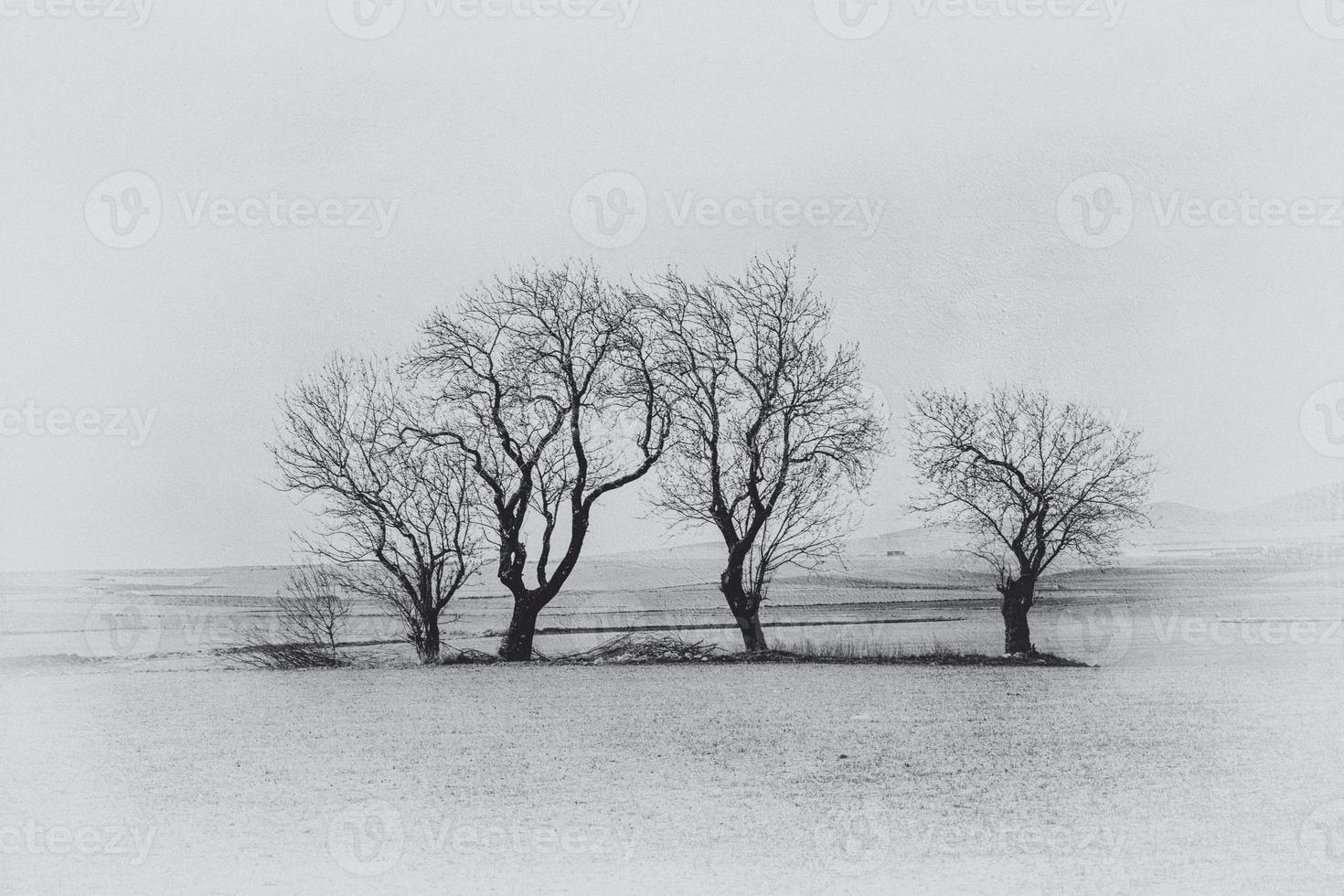 serene minimalist landscape aragon spain in winter day photo