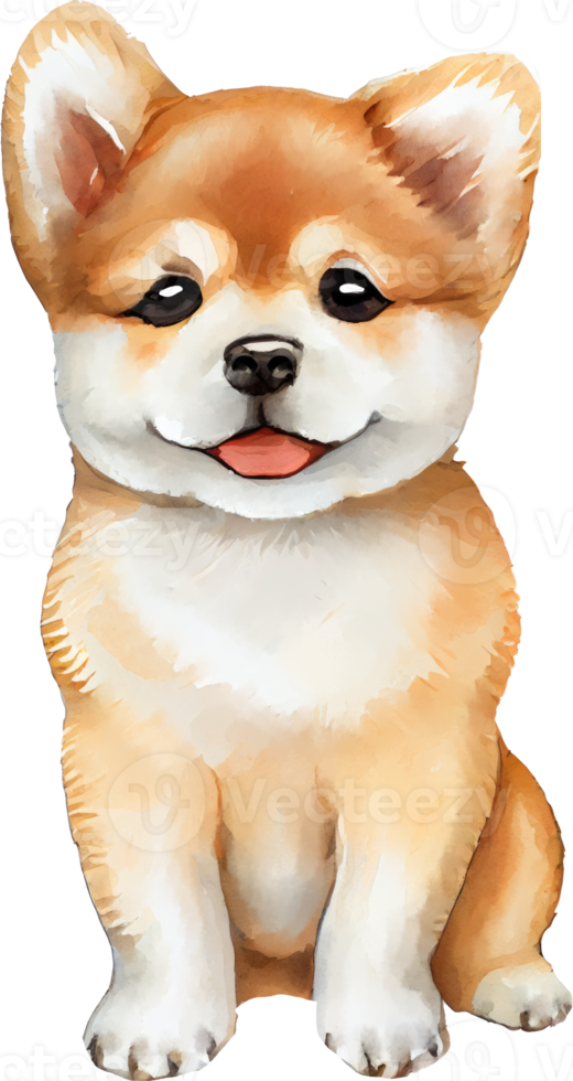 shiba inu puppy hond waterverf png
