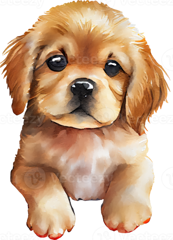 labrador puppy hond waterverf png