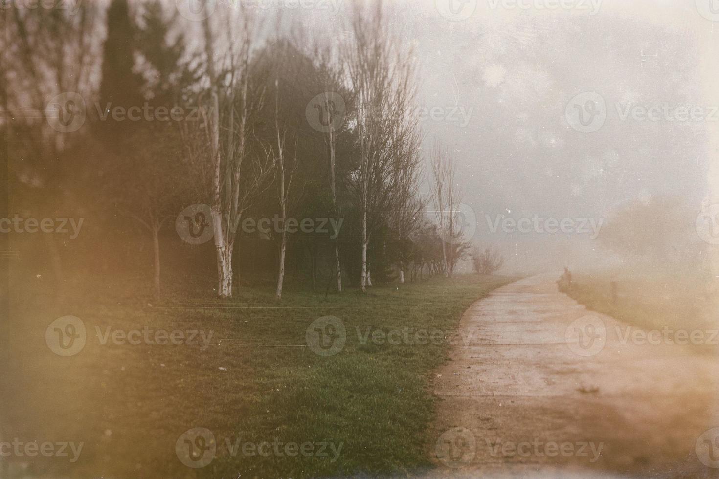 l calm landscape with road in misty gray winters day photo