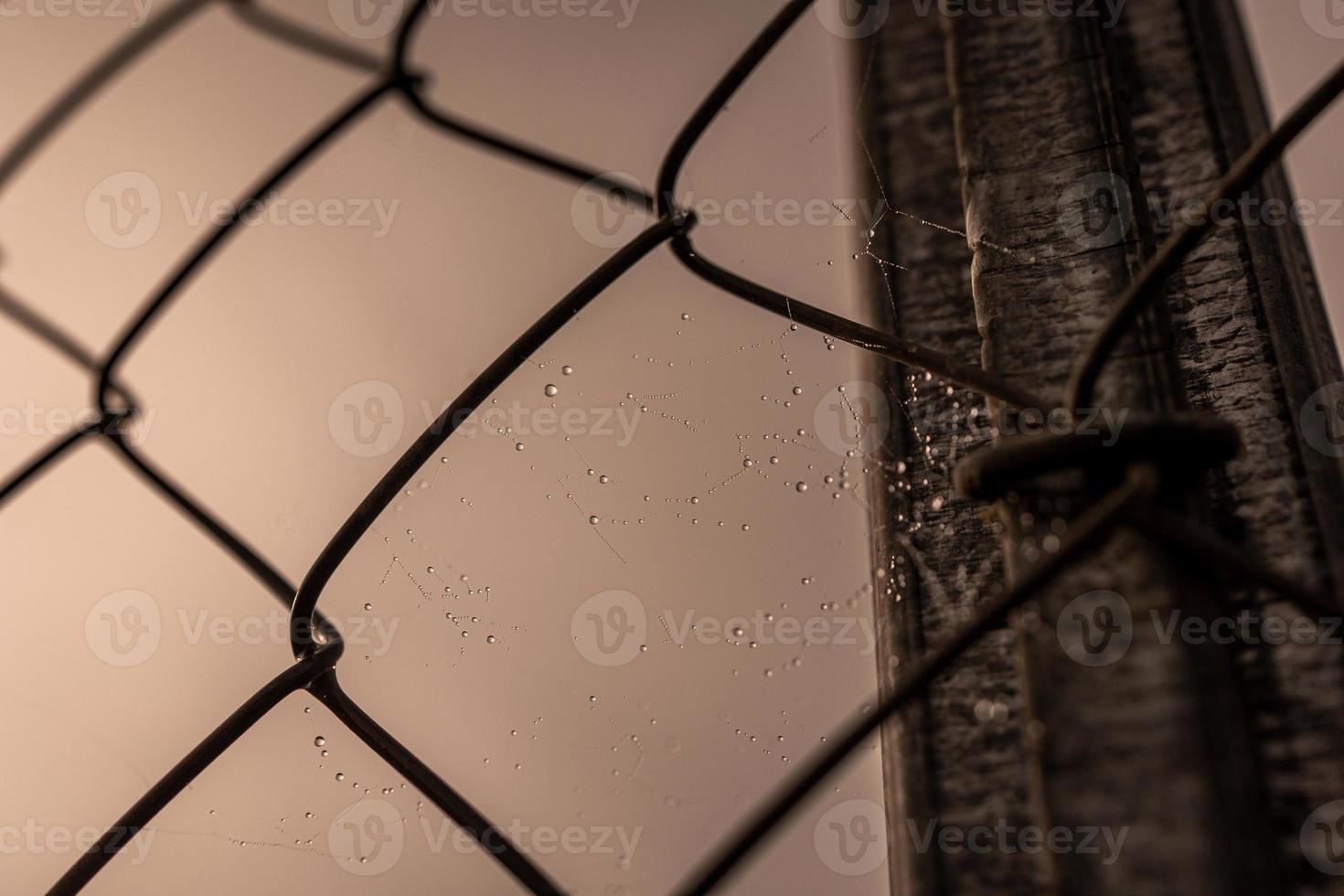 little delicate water drops on a spider web in close-up on a foggy day photo