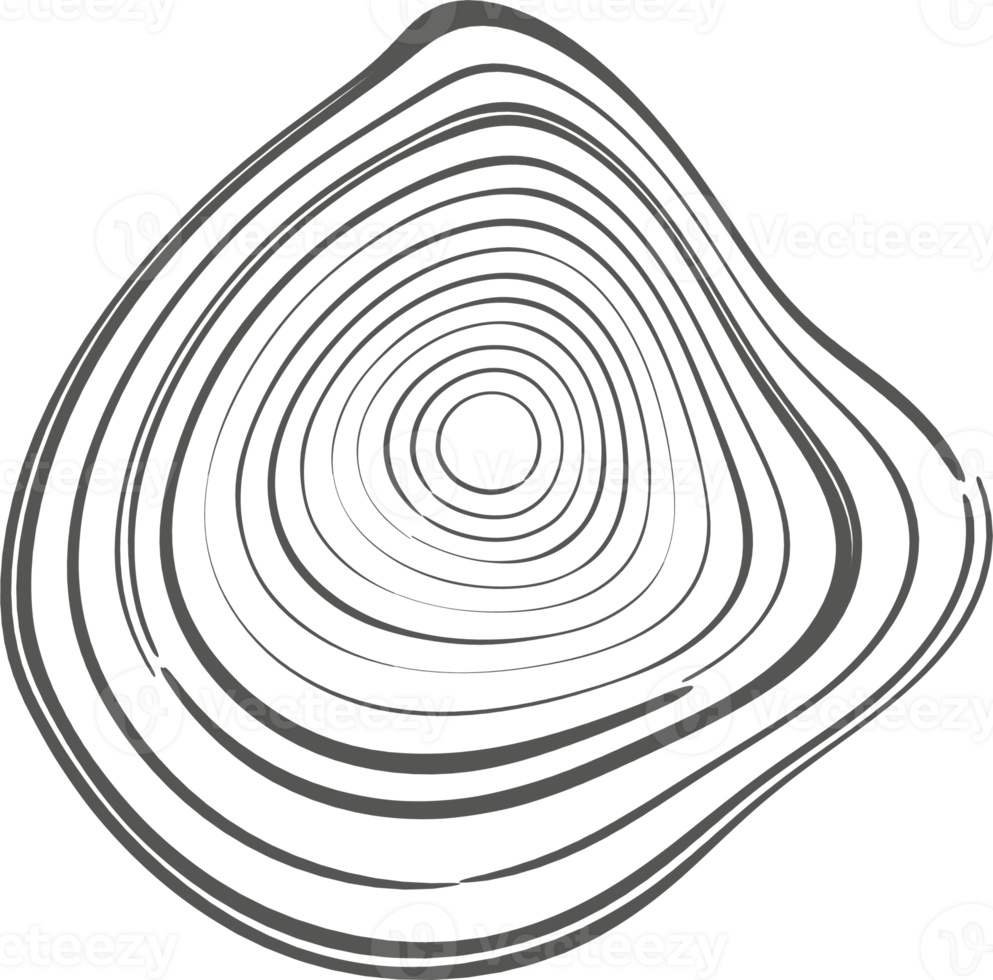 Tree rings organic pattern. Topography line circle. Nature wavy contour shape. Topographic icon png