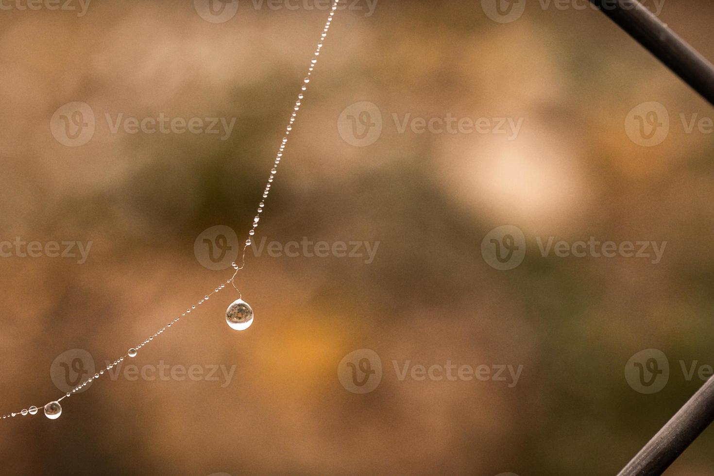 little delicate water drops on a spider web in close-up on a foggy day photo