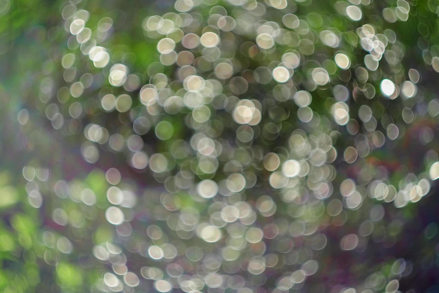 Blurry and bokeh of nature background. photo