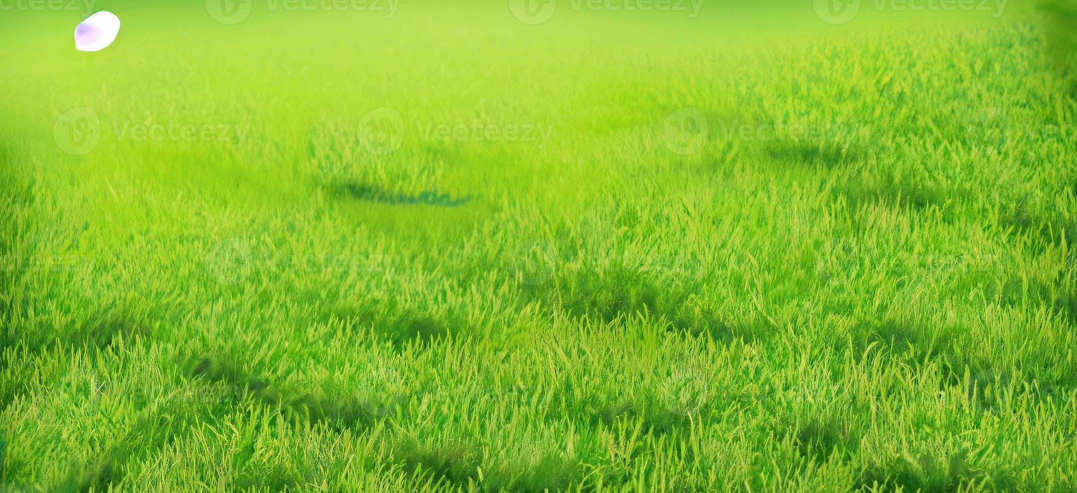 background typically refers to a brightly colored background that resembles photo