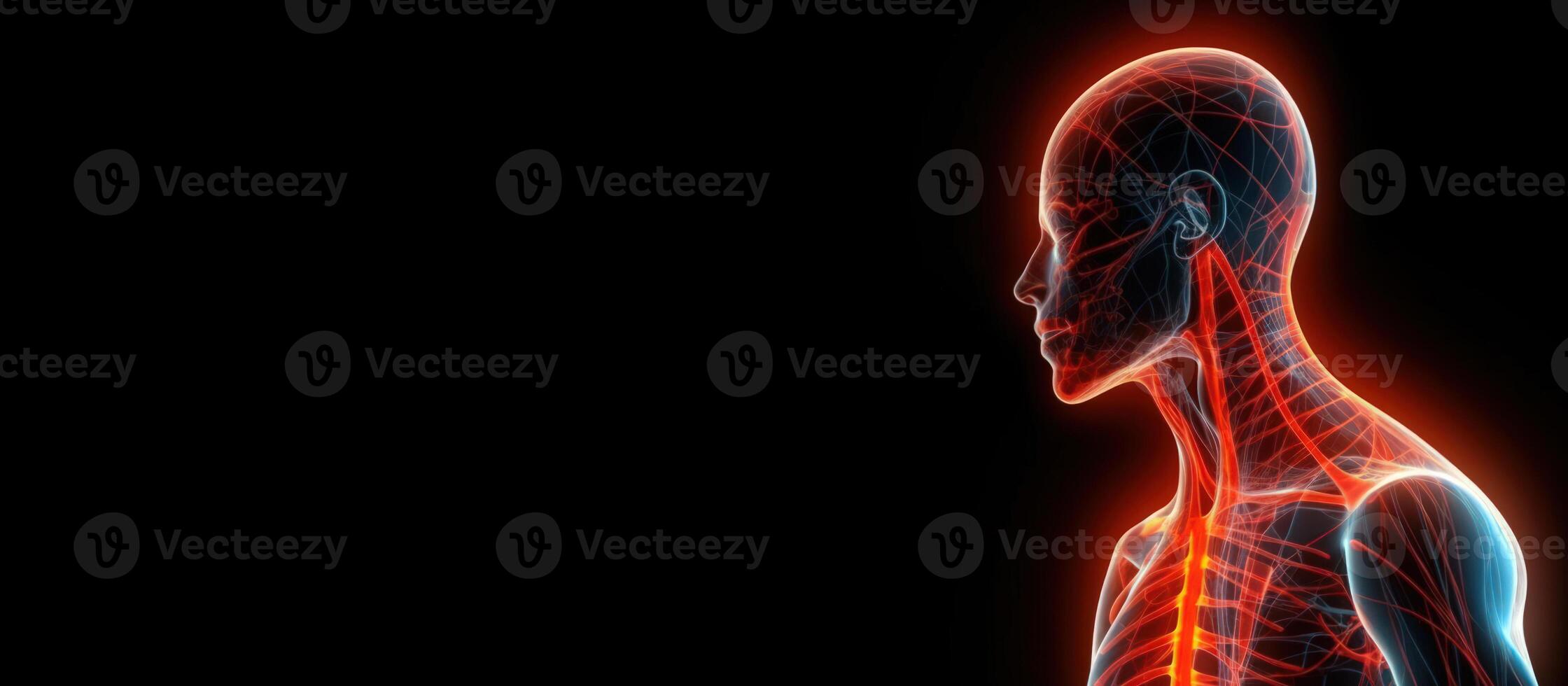 human anatomy x-ray copy space mockup on dark background photo