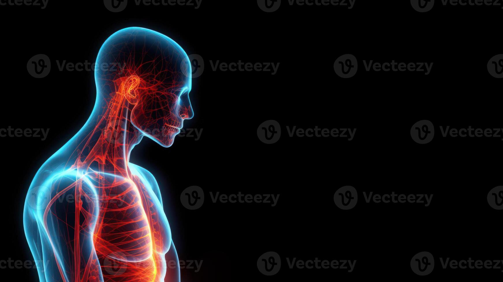 human anatomy x-ray copy space mockup on dark background photo