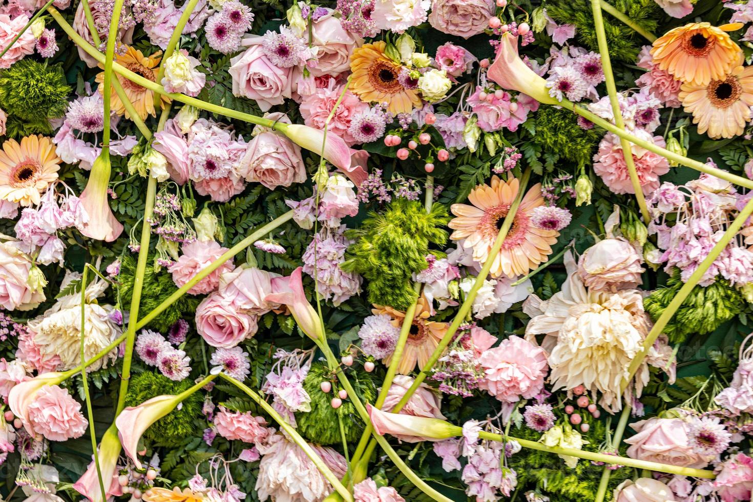 natural pink background with flowers close-up photo