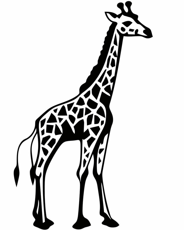 Black and White Giraffe 22561288 Vector Art at Vecteezy