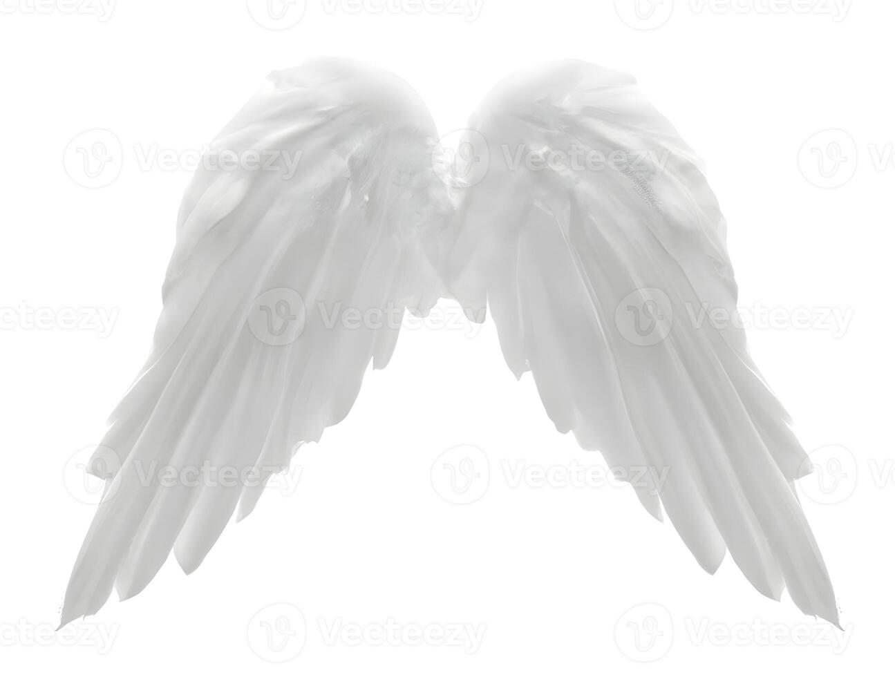 white angel wings isolated on white background. . photo