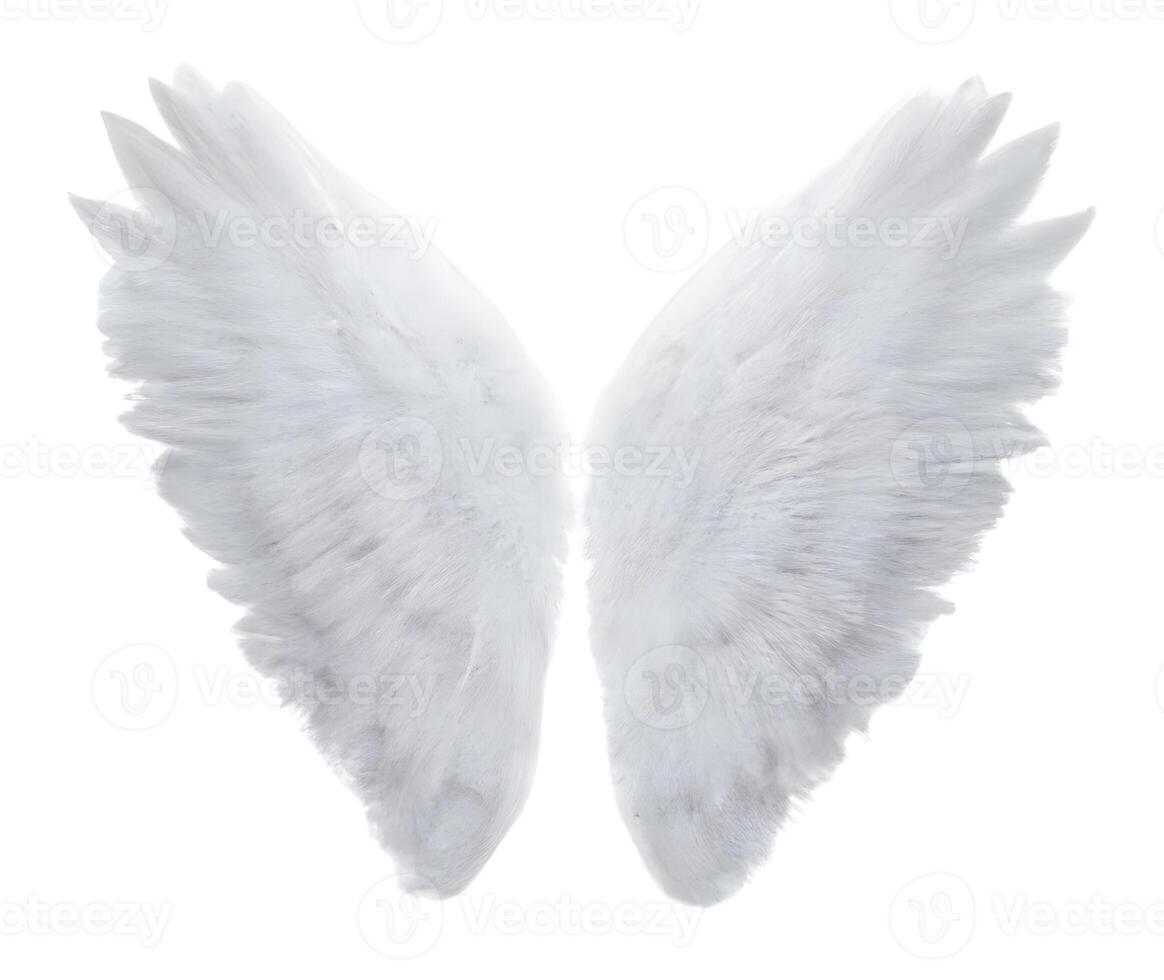 white angel wings isolated on white background. . photo