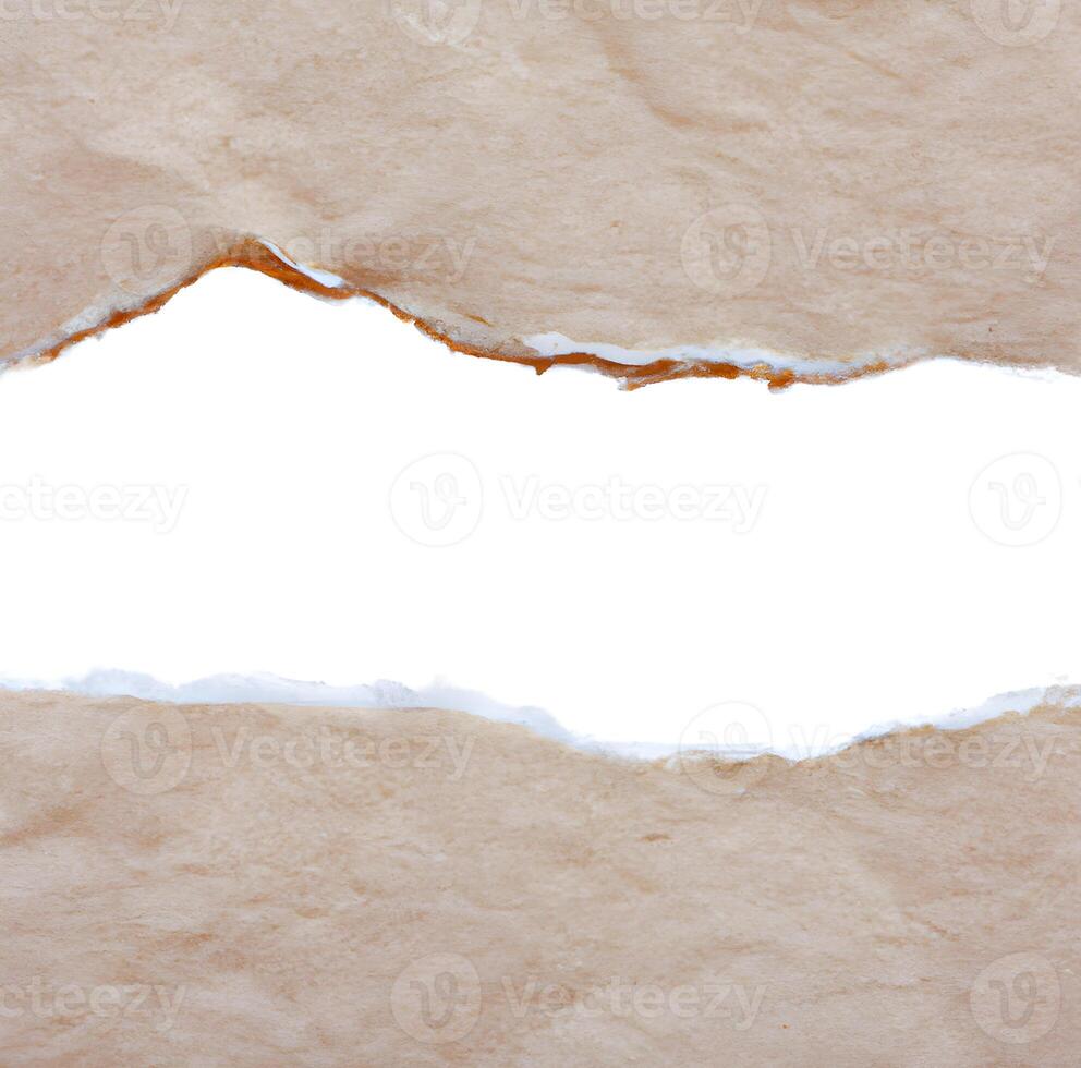 torn piece of paper on a white background. rough paper texture. . photo