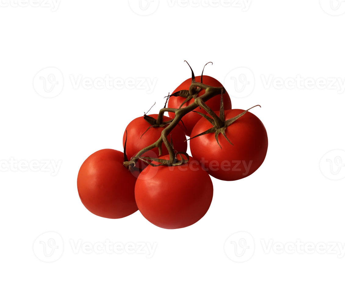 branche de tomates mûres rouges avec tige et feuilles vertes, chemin de détourage d'objet découpé, concept de régime alimentaire sain de légumes biologiques png