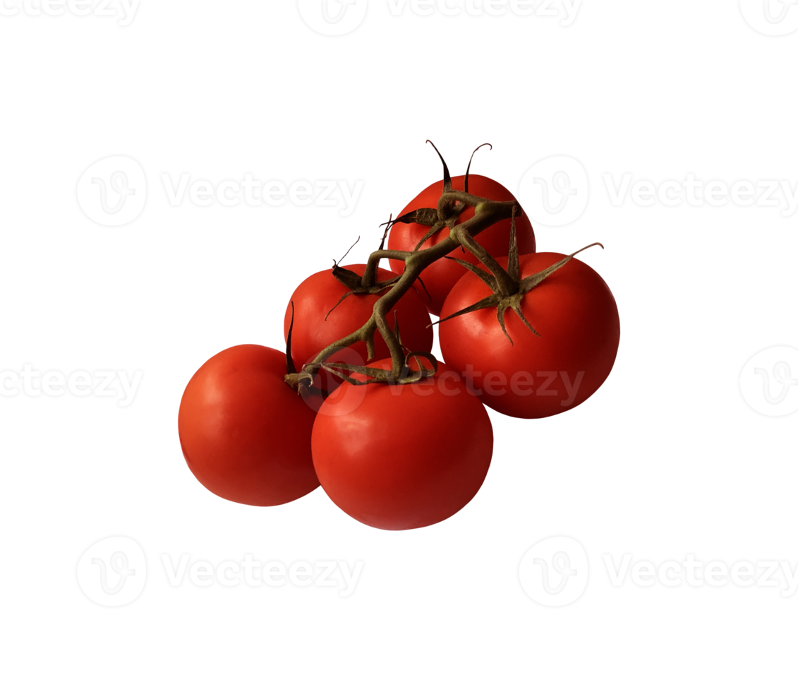 Red ripe tomatoes branch with green stem and leaves, cutout object clipping path, organic vegetable healthy diet concept png