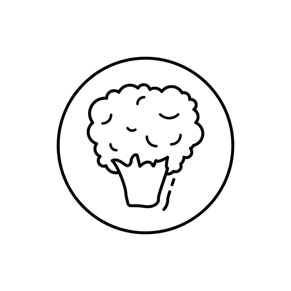 Cauliflower, vegan vector icon