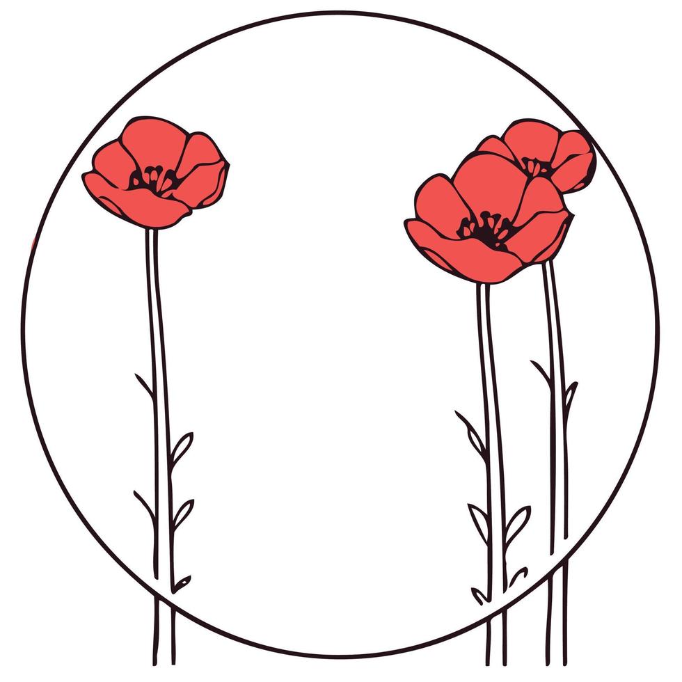 frame with red poppy flowers vector