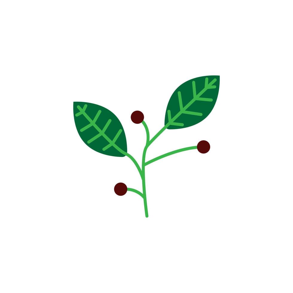 Herb, berries vector icon