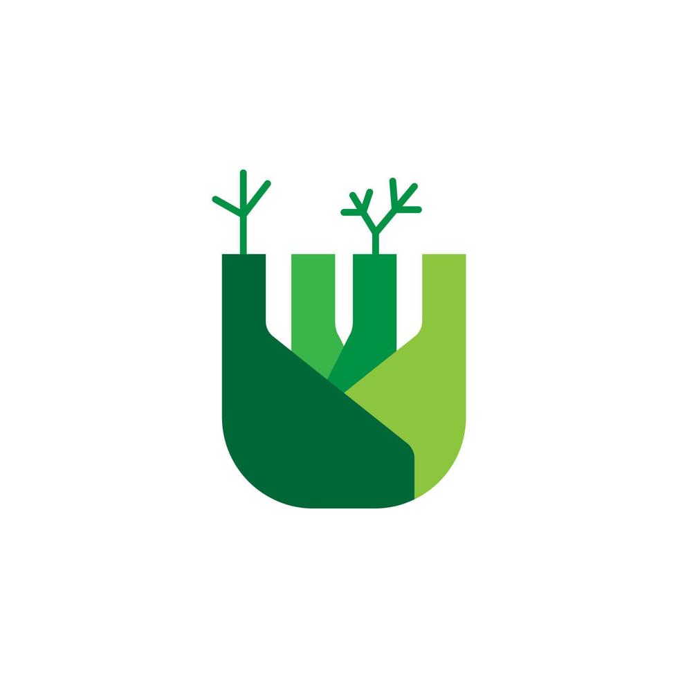 Herb, fennel vector icon