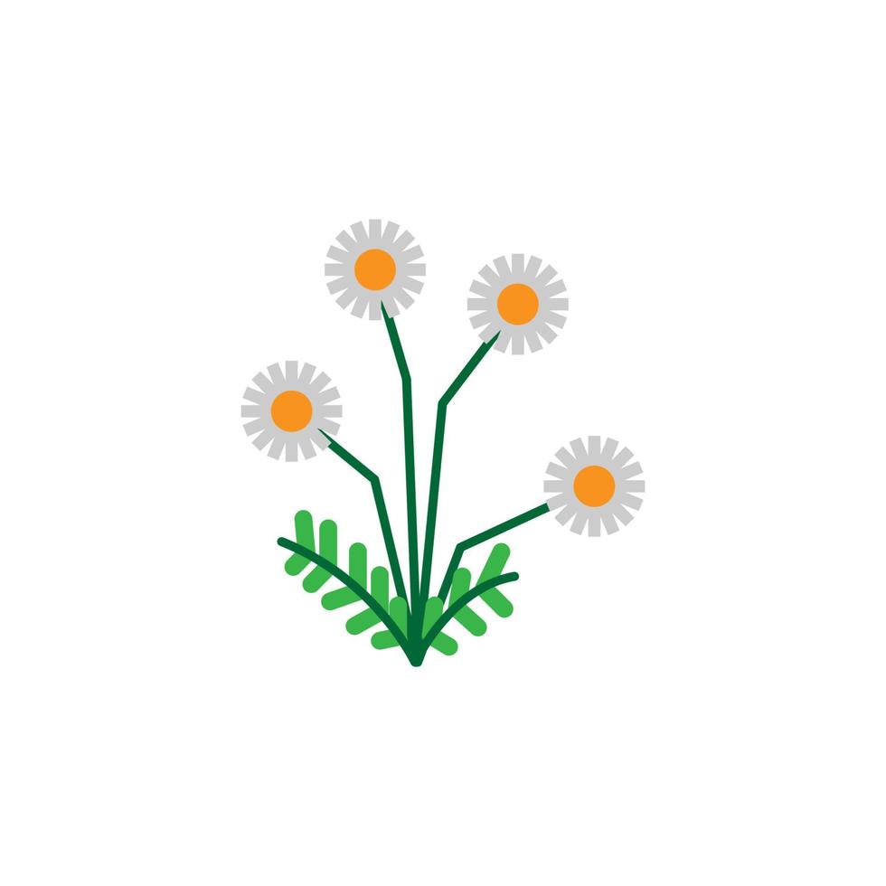 Herb, chamomile vector icon