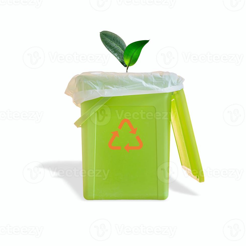 Green garbage trash bin with bag inside and growing a plant tree and with its shadow and recycling symbol isolated at white background. Concept of waste recycling and environment. photo
