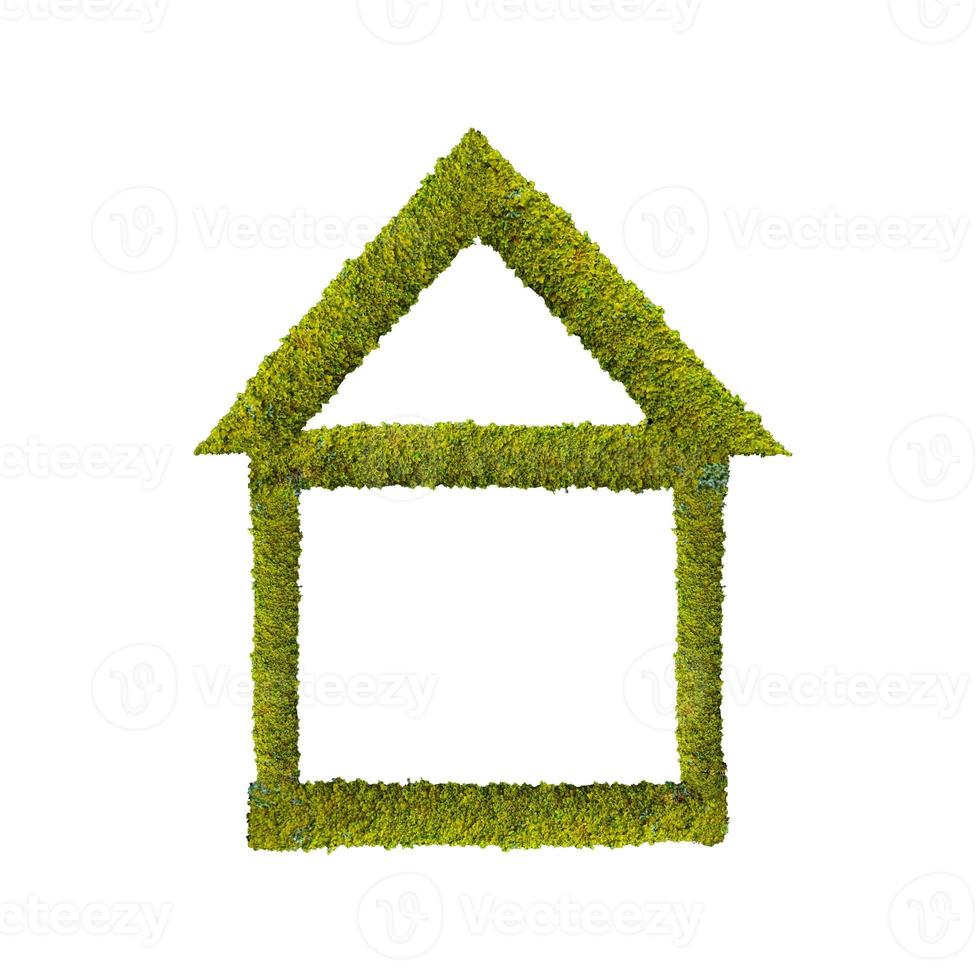 Colorfully green mossed and lichened wet forest tree symbolic house isolated at white background. Concept of ecofriendly sustainable living. photo