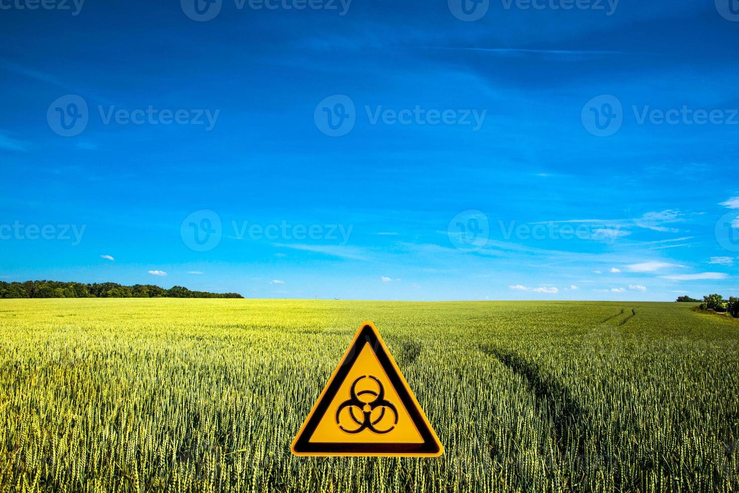 Peaceful landscape with blue sky and yellow wheat field marked with a sign of nuclear war radiation threat with copy space background. Concept war in Ukraine, potential nuclear world war. photo