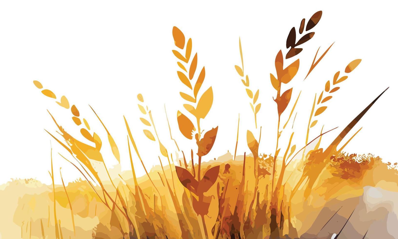 acuarela dorado campos con cultivos ilustración diseño vector