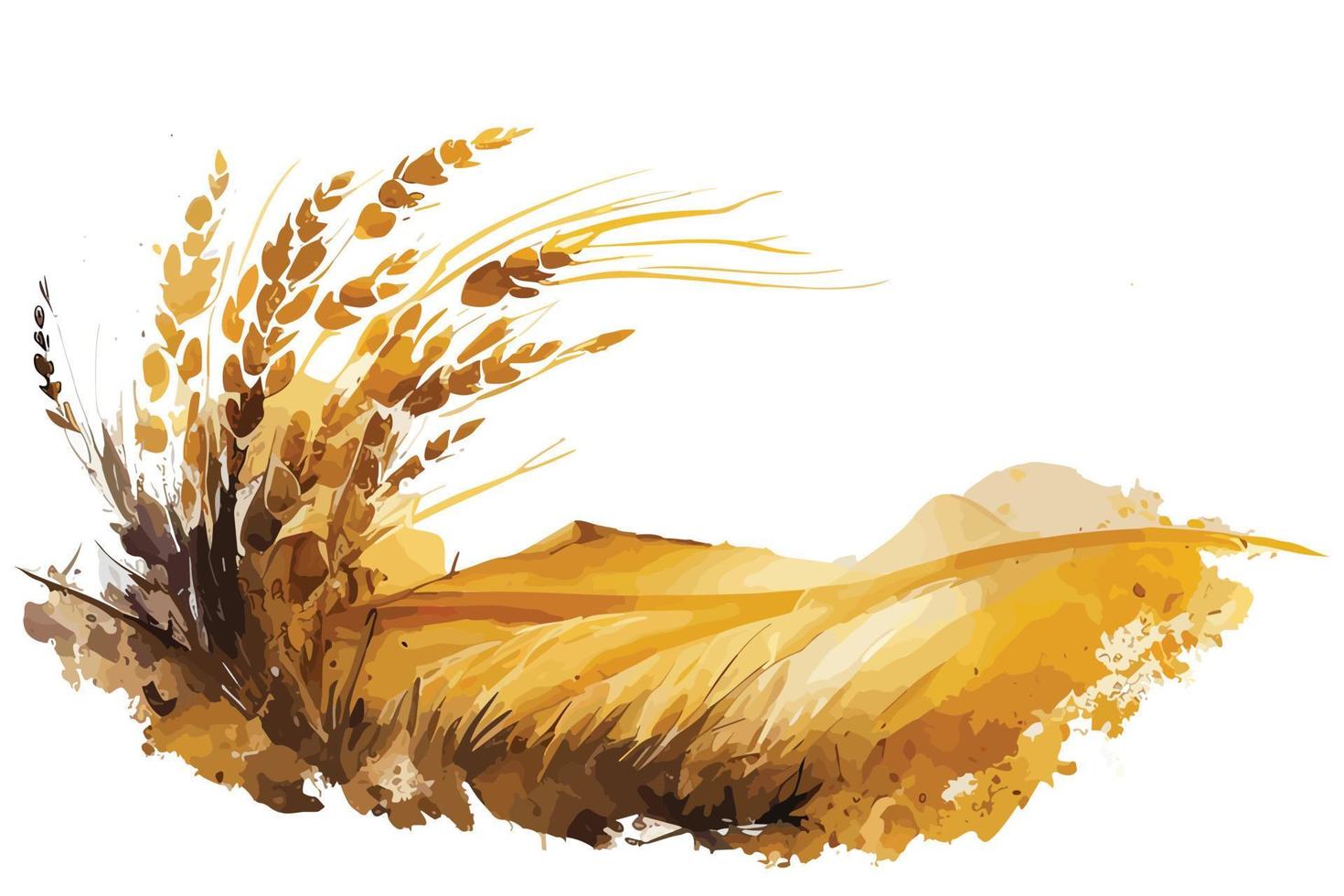 watercolor golden fields with crops illustration design vector